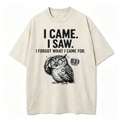 I Came. I Saw. I Forgot What I Came For. Funny Owl Vintage T-Shirt