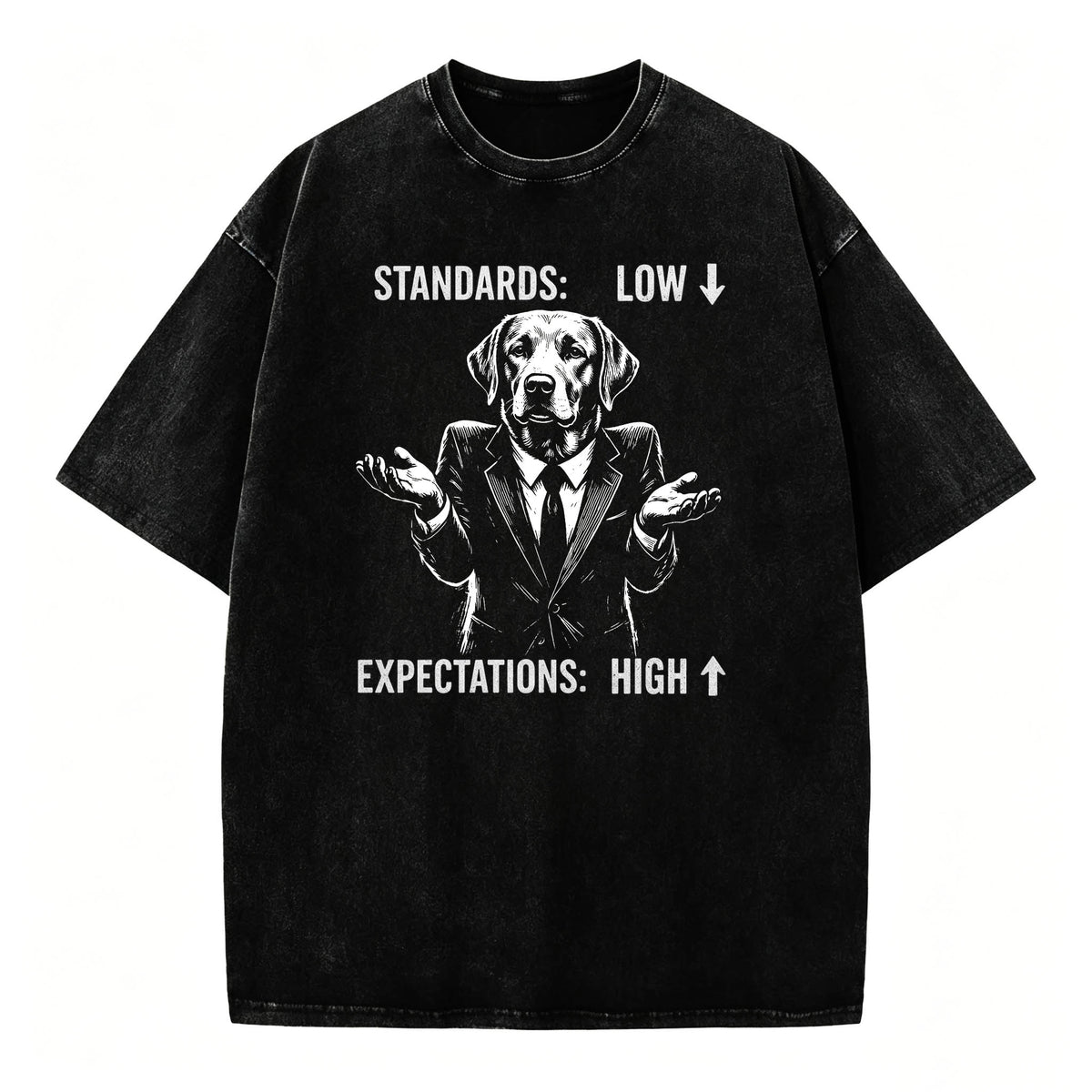 Standards Low Expectations High Funny Sarcastic T-Shirt