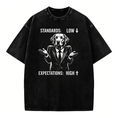 Standards Low Expectations High Funny Sarcastic T-Shirt