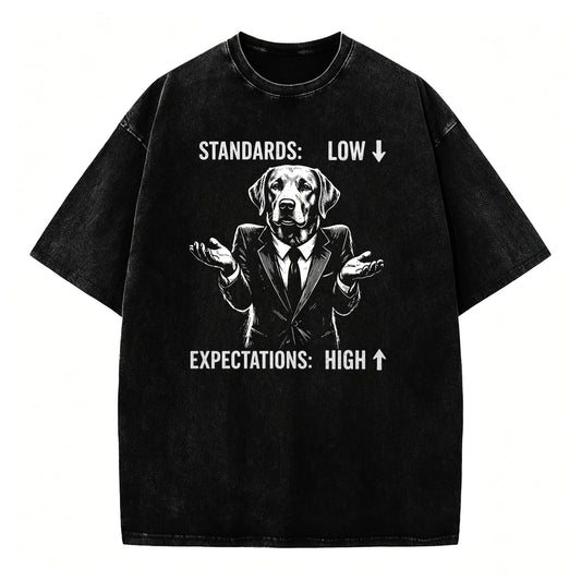 Standards Low Expectations High Funny Sarcastic T-Shirt