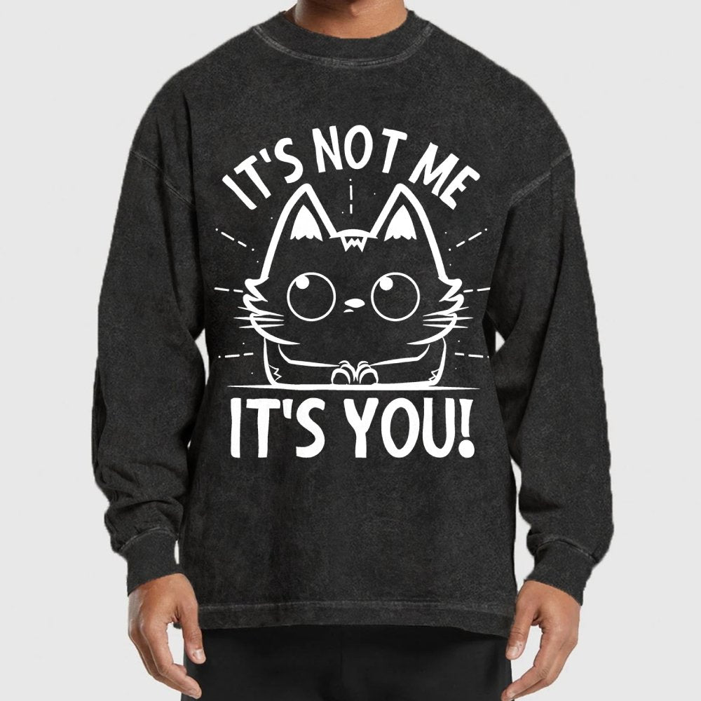 It's Not me It's You Washed Long Sleeve Tee