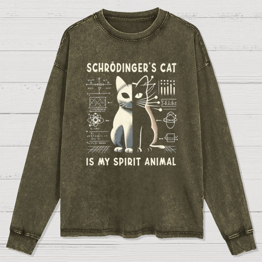 Schrodinger's Сat Science Washed Long Sleeve Tee