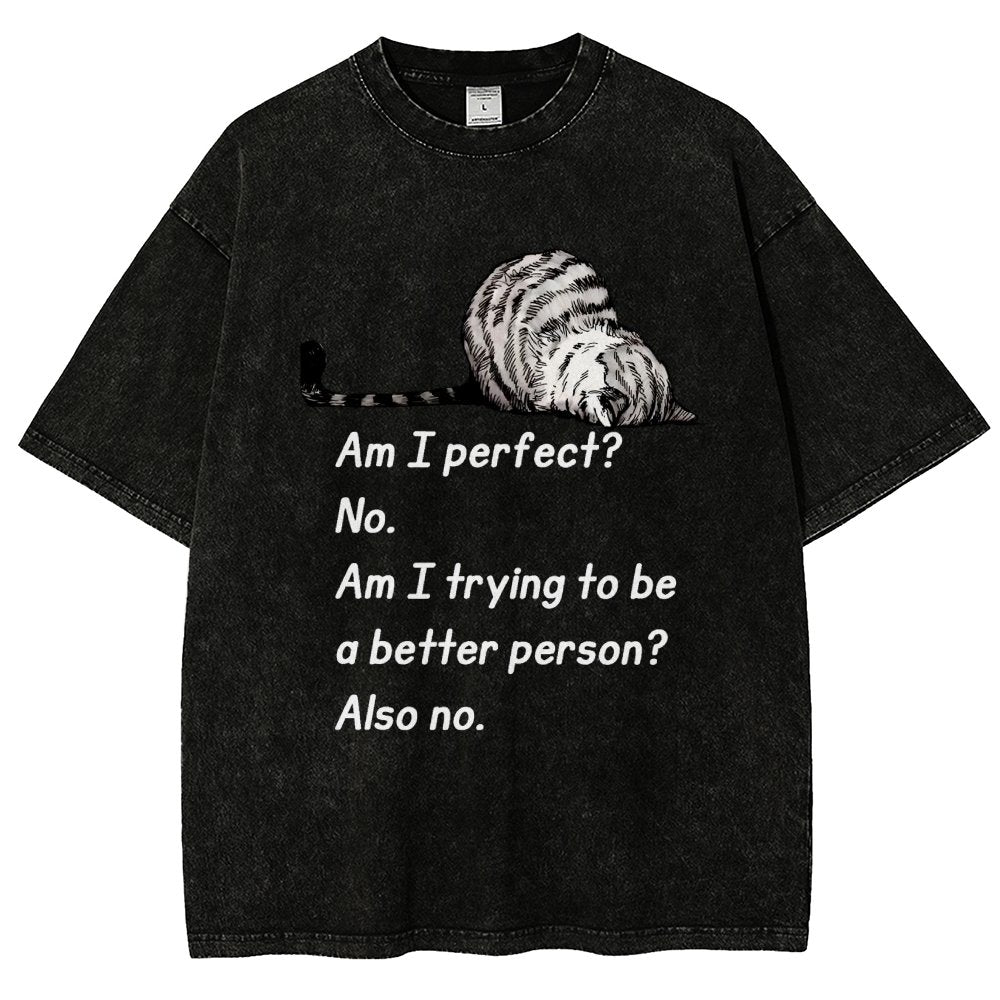 Am I Perfect No Vintage Distressed T-shirt