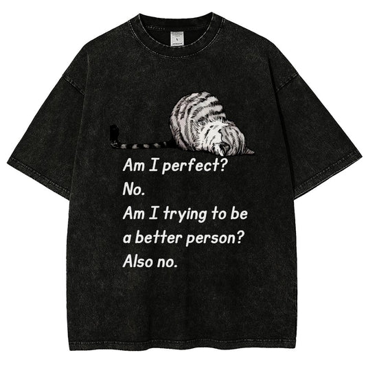 Am I Perfect No Vintage Distressed T-shirt