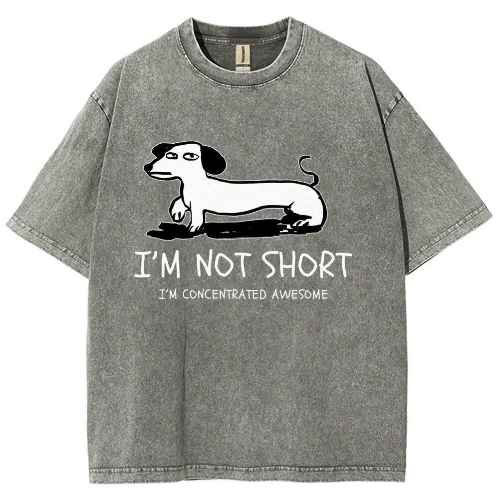 I'm Not Short Vintage Distressed T-shirt