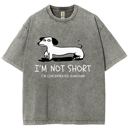 I'm Not Short Vintage Distressed T-shirt