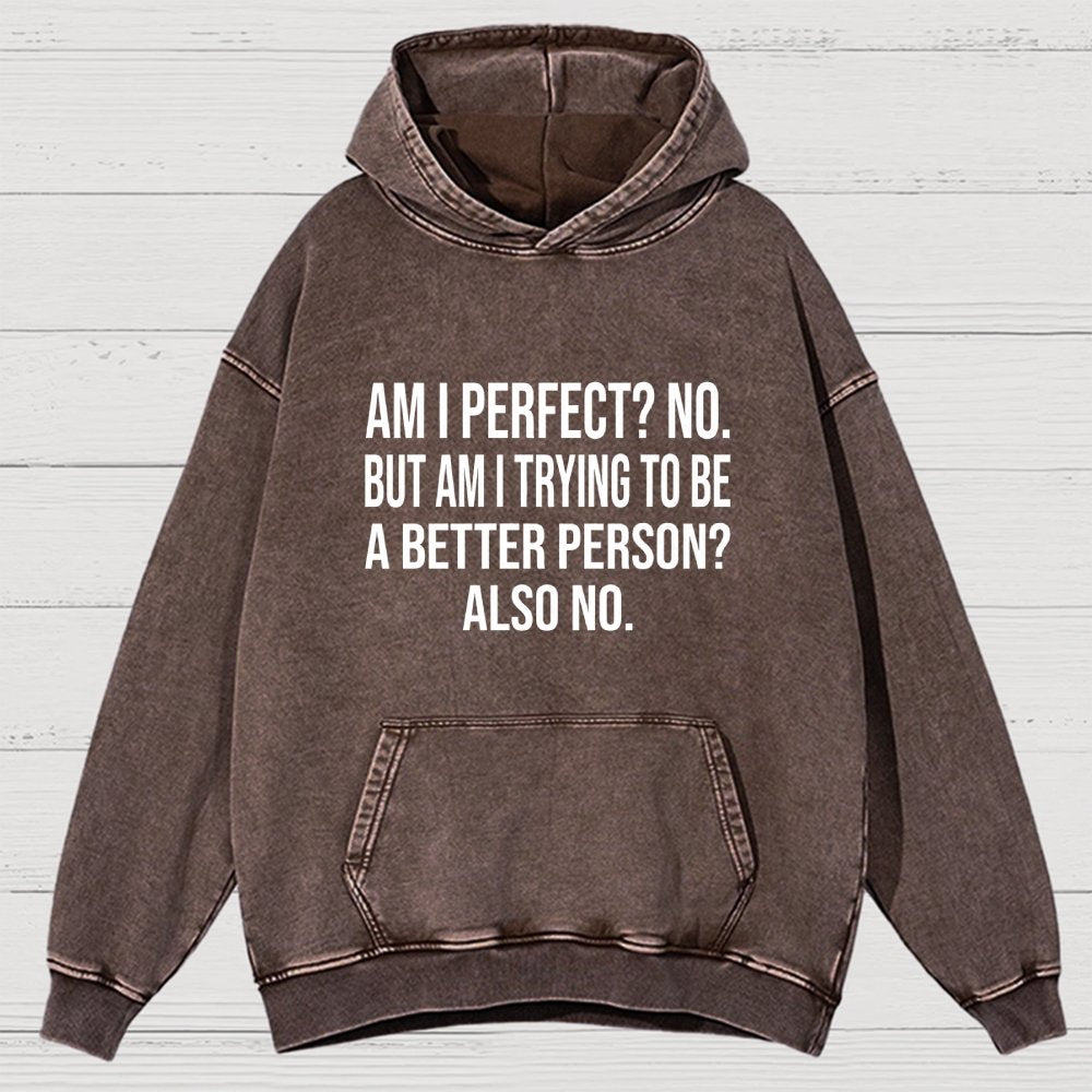 Am I Perfect No But Am I Trying To Be A Better Person Also No Vintage Distressed Hoodie