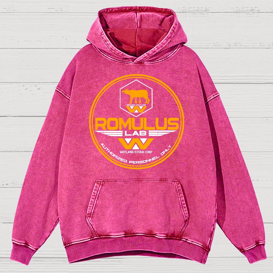 Aurora Lab Vintage Distressed Hoodie