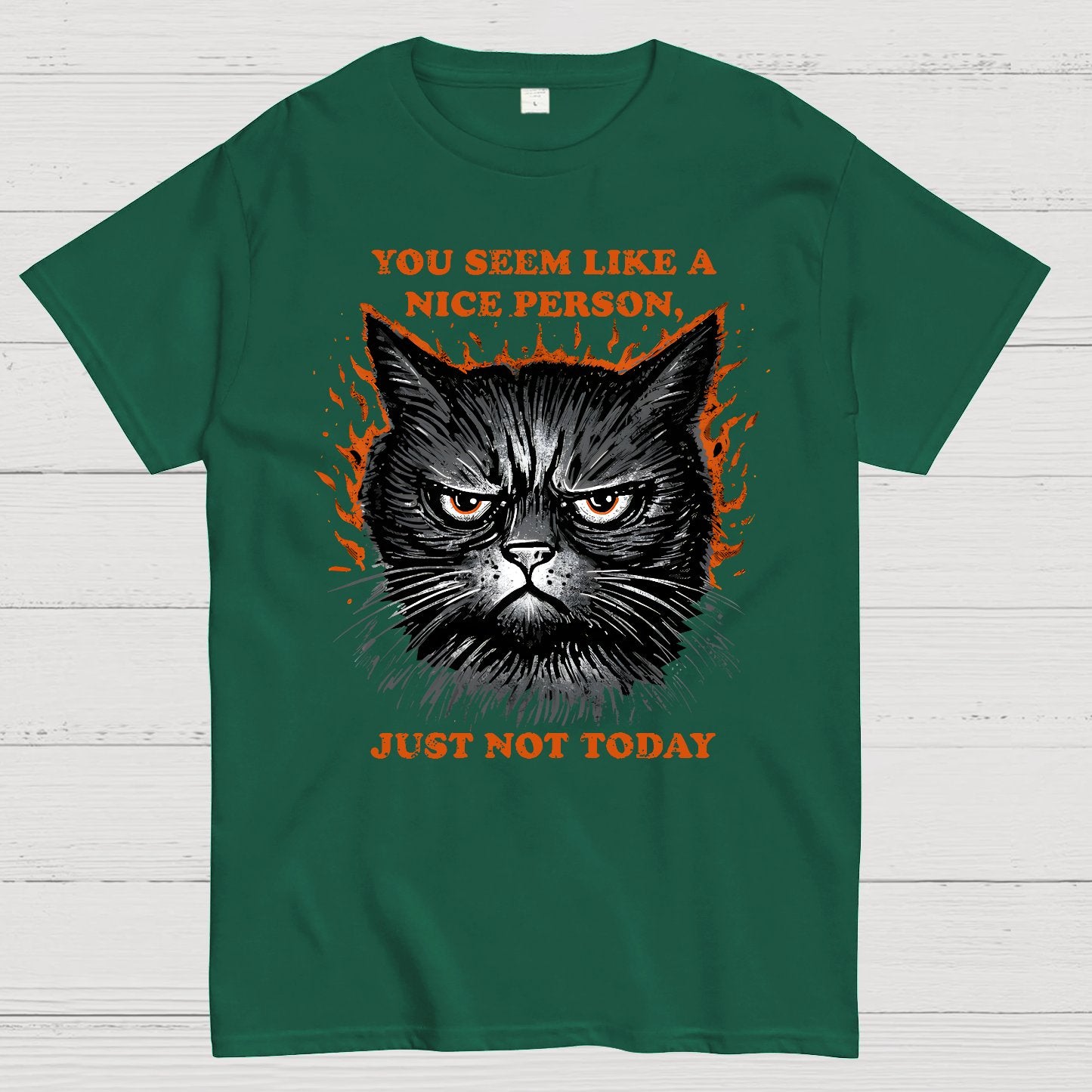 Nice Person Geek T-Shirt
