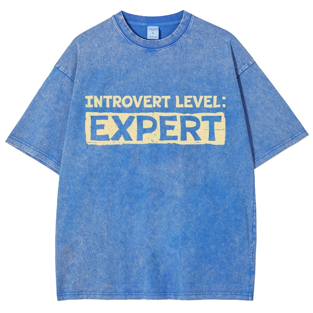 Introvert Level:Expert Vintage Distressed T-shirt