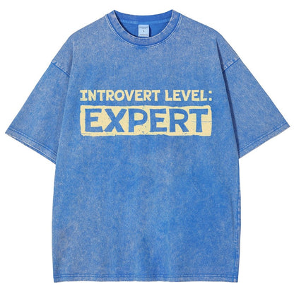 Introvert Level:Expert Vintage Distressed T-shirt
