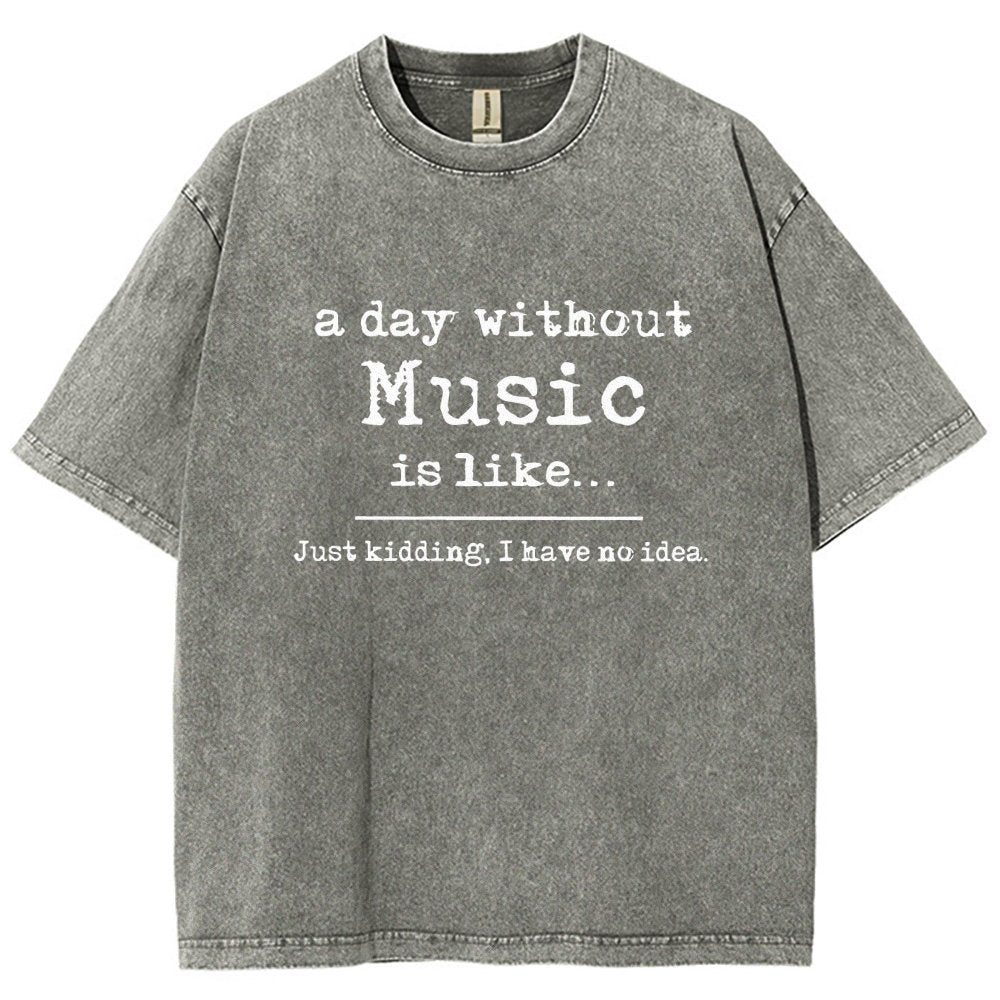 A Day Without Music Is Like Vintage Distressed T-shirt