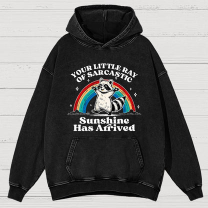 Your Little Ray of Sarcastic Sunshine Has Arrived Vintage Distressed Hoodie