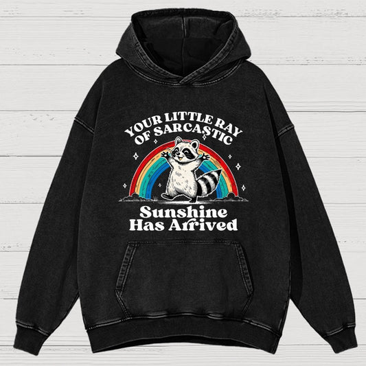 Your Little Ray of Sarcastic Sunshine Has Arrived Vintage Distressed Hoodie