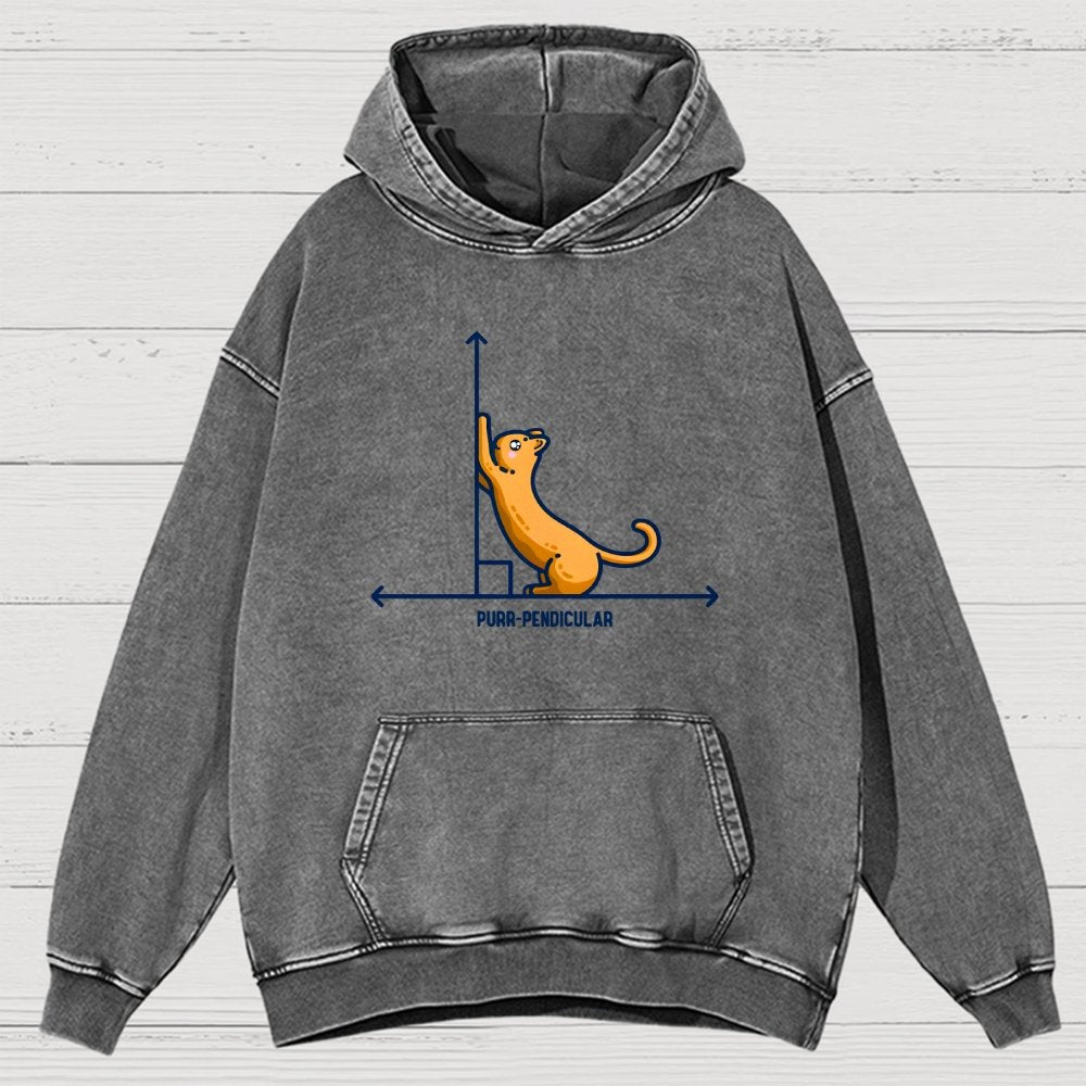 Purr-Pendicular Cute Maths Cat Premium Vintage Distressed Hoodie