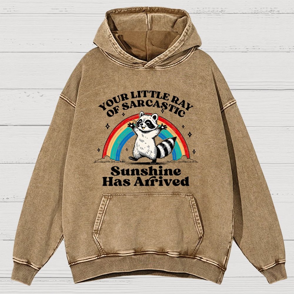 Your Little Ray of Sarcastic Sunshine Has Arrived Vintage Distressed Hoodie
