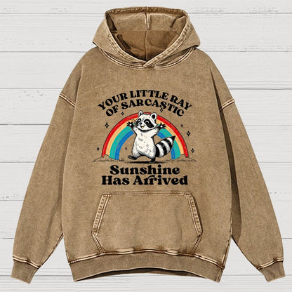 Your Little Ray of Sarcastic Sunshine Has Arrived Vintage Distressed Hoodie