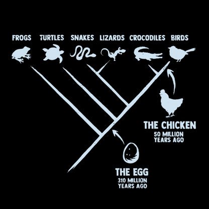 The Chicken And The Egg Science Geek T-Shirt