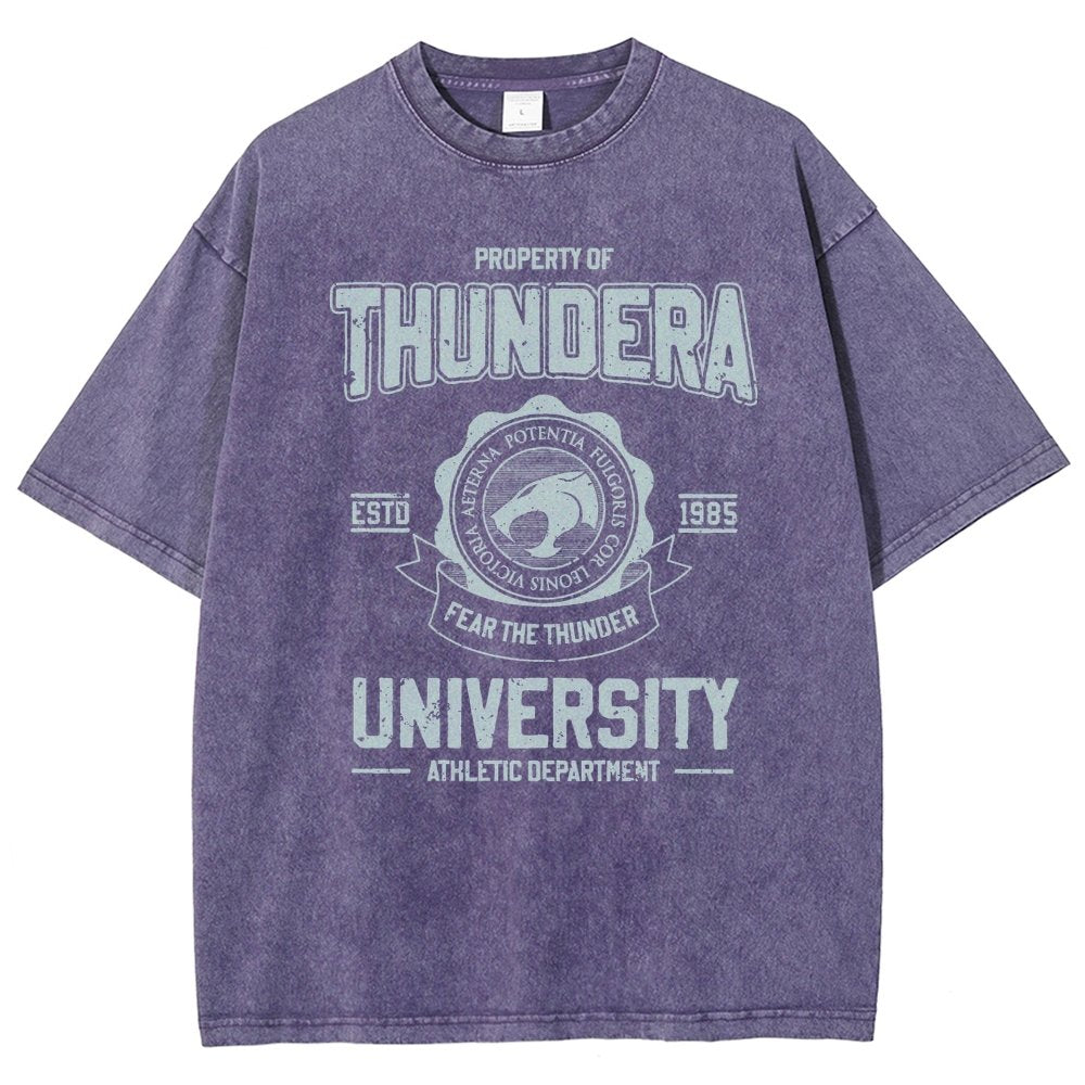 Mystic Valley University Vintage Distressed T-shirt