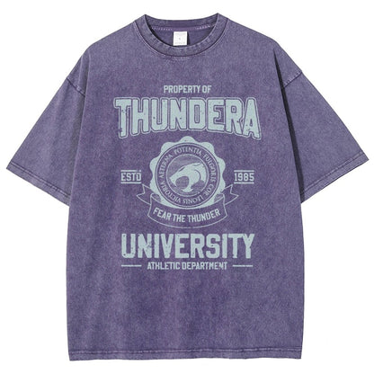 Mystic Valley University Vintage Distressed T-shirt