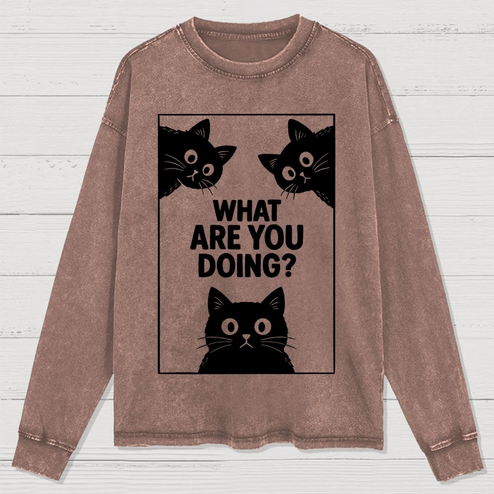 What Are You Doing Washed Long Sleeve Tee