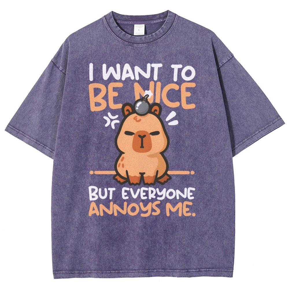 Capy Wants To Be Nice Vintage Distressed T-shirt