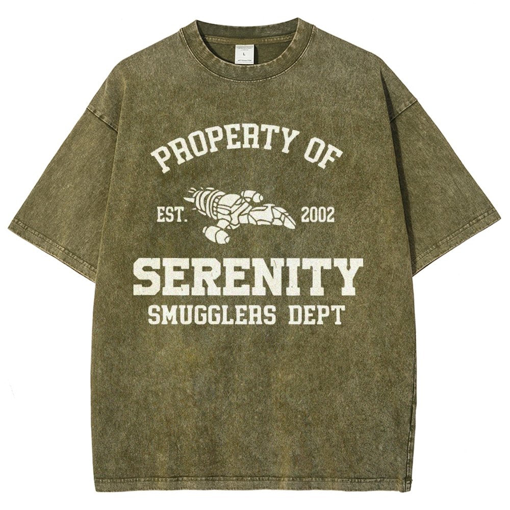 Property of Starlight Vintage Distressed T-shirt