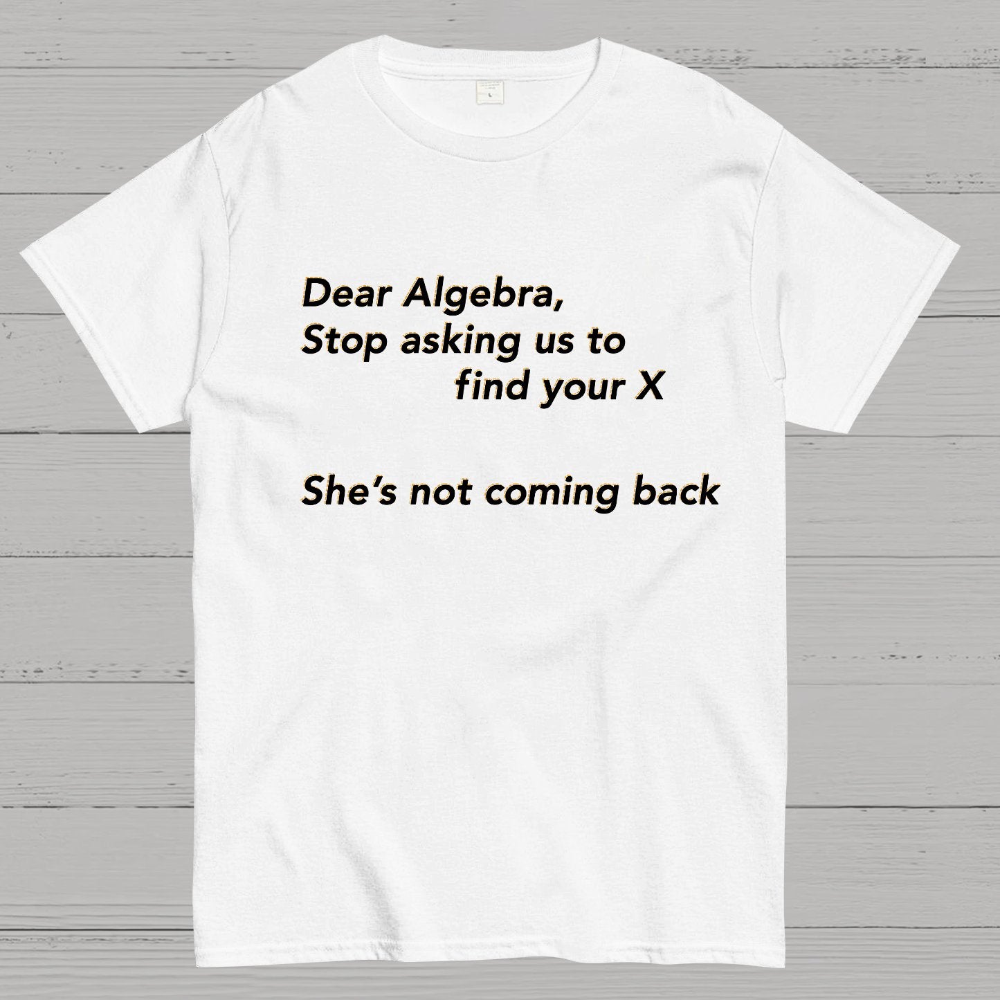 Dear Algebra, Stop Asking Us To Find Your X-1 Geeky T-Shirt