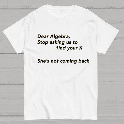 Dear Algebra, Stop Asking Us To Find Your X-1 Geeky T-Shirt