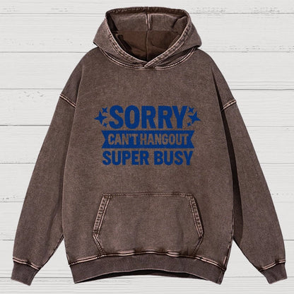 Sorry — Can’T Hang Out — Super Busy Vintage Distressed Hoodie