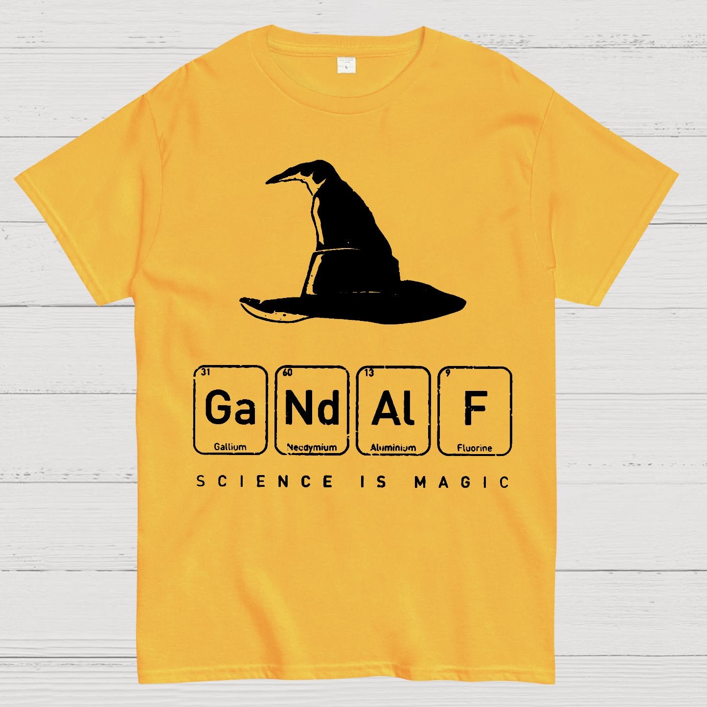 SCIENCE IS MAGIC Geek T-Shirt