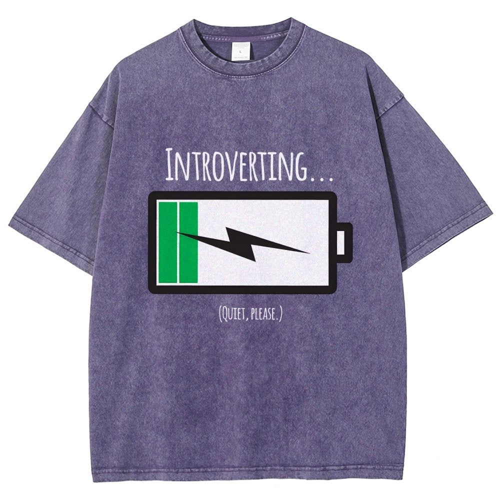Introverting Vintage Distressed T-shirt