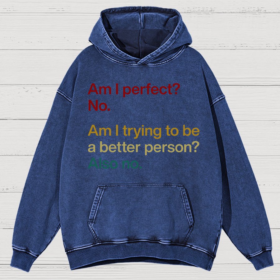 Am I Perfect ？No.Vintage Distressed Hoodie