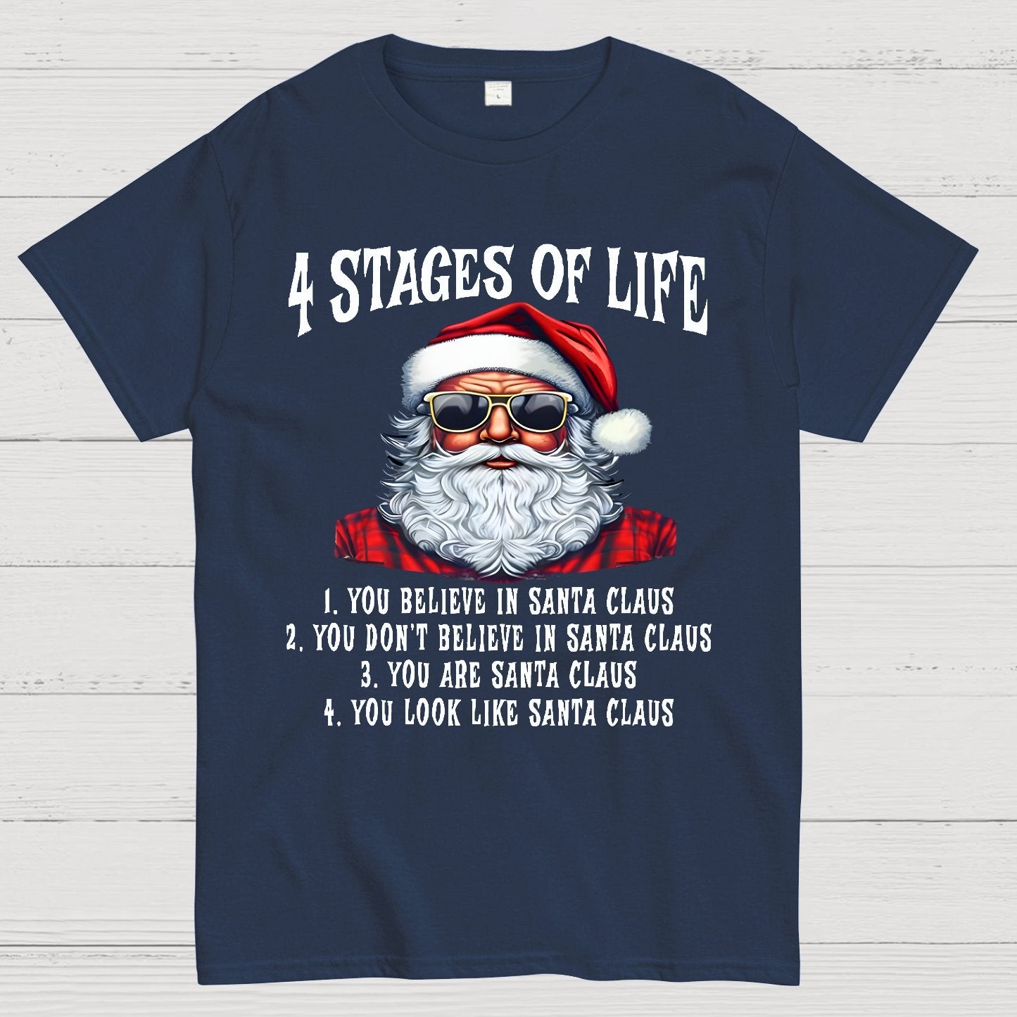 4 Stages Of Life Funny Christmas Geek T-Shirt