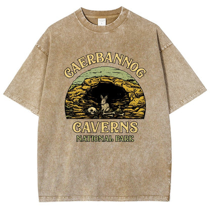 Mystic Caverns National Park Vintage Distressed T-shirt
