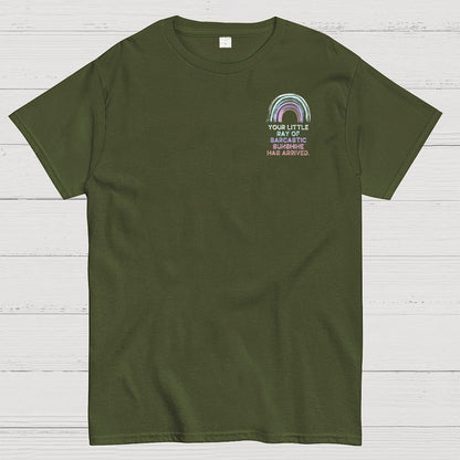 Your Little Ray of Sarcastic Sunshine Has Arrived Front And Back Printing Geek T-Shirt