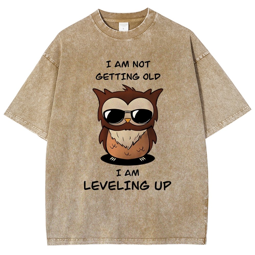 Leveling Up Vintage Distressed T-shirt