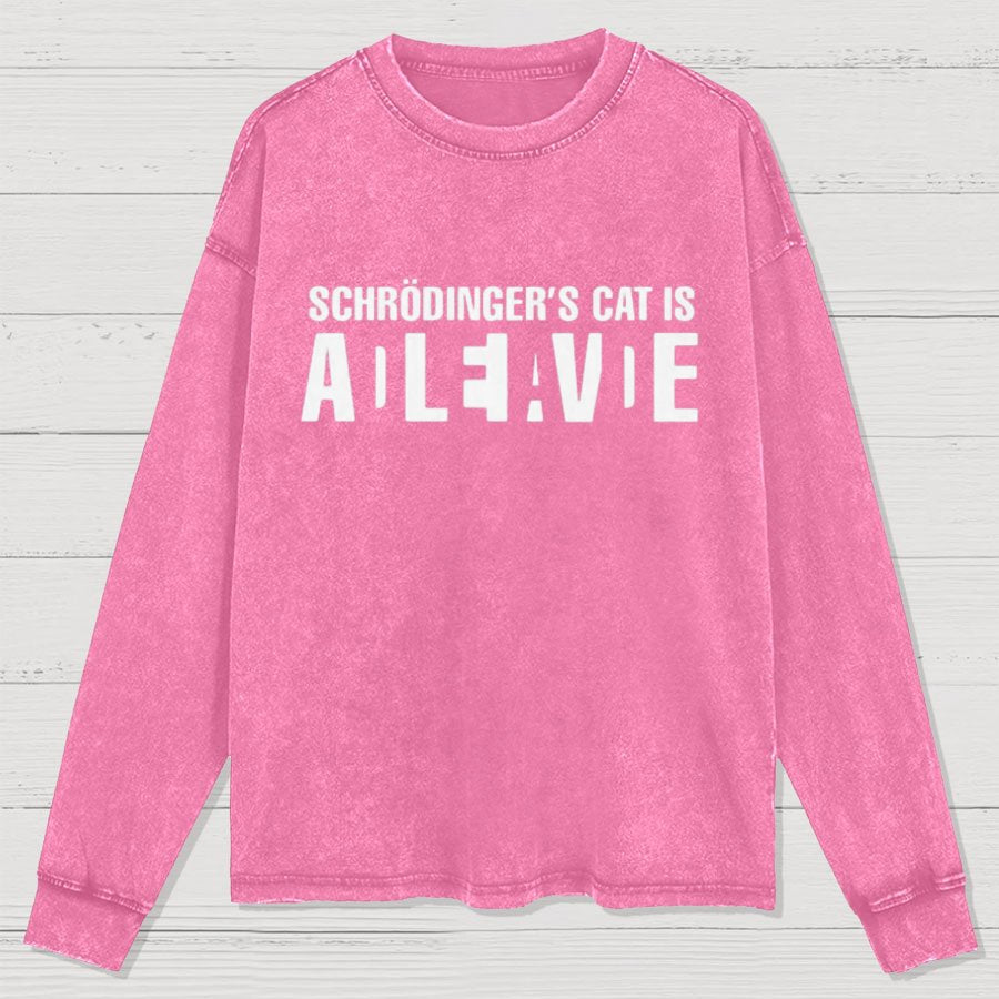 Schrödinger's Cat Adleiavde Washed Long Sleeve Tee