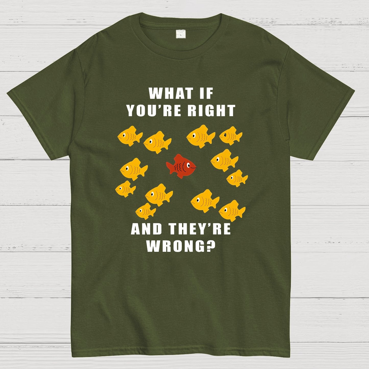 What If You're Right And They're Wrong Geeky T-Shirt