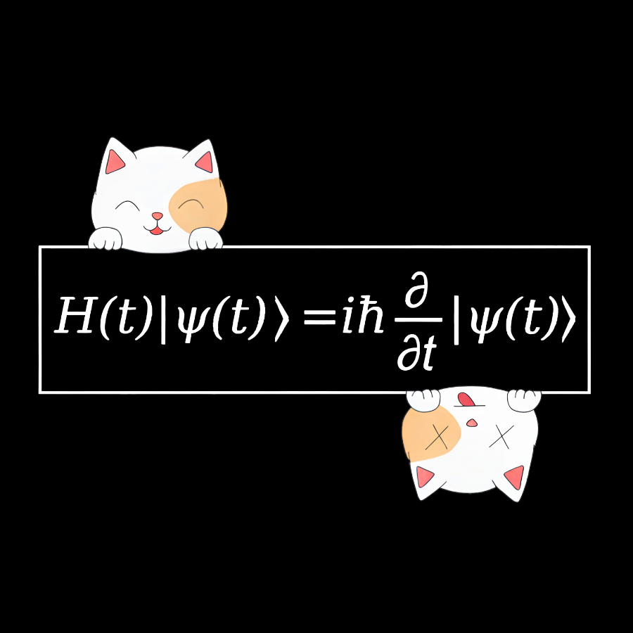 Schrödinger equation Geeky T-Shirt