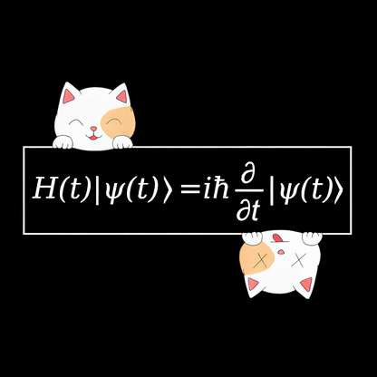 Schrödinger equation Geeky T-Shirt