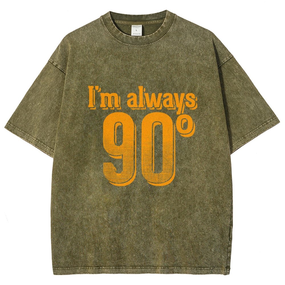 I'm Always Right Math Vintage Distressed T-shirt