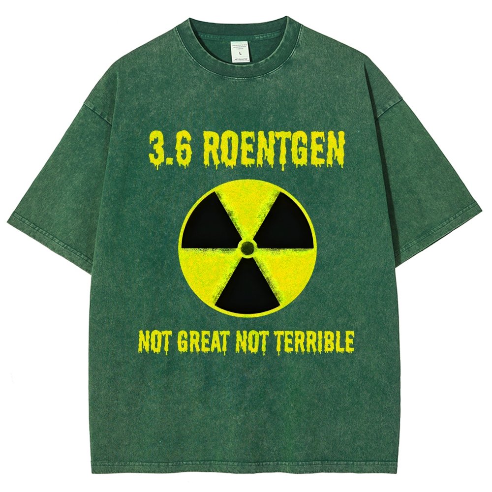 3.6 Roentgen Not Great Not Terrible Vintage Distressed T-shirt