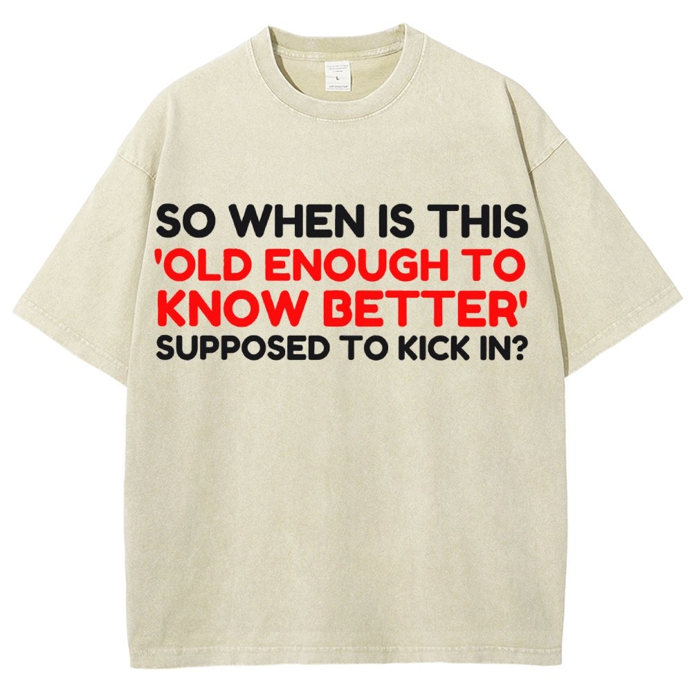 Old Enough To Know Better Vintage Distressed T-shirt