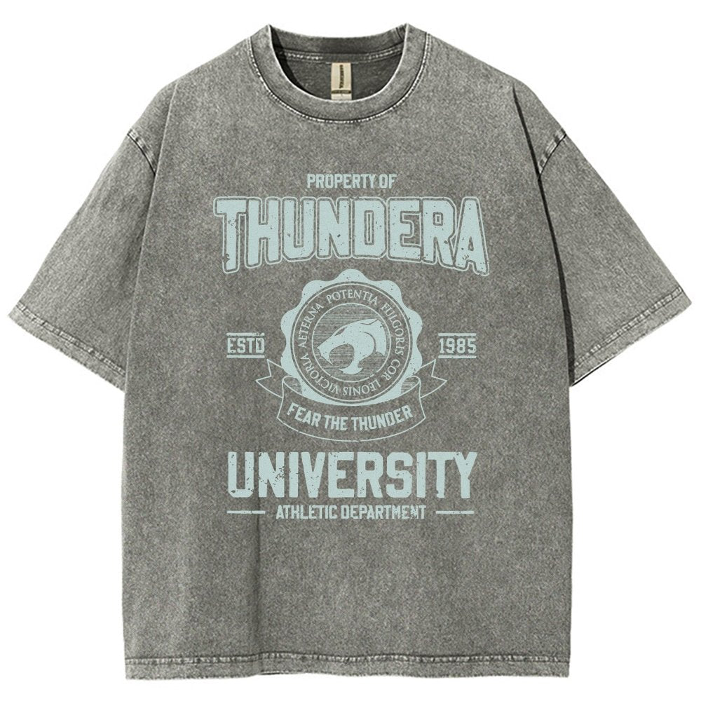 Mystic Valley University Vintage Distressed T-shirt