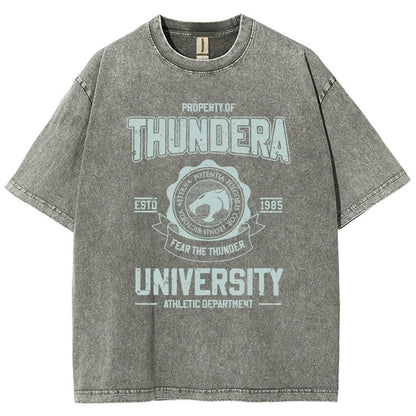 Mystic Valley University Vintage Distressed T-shirt