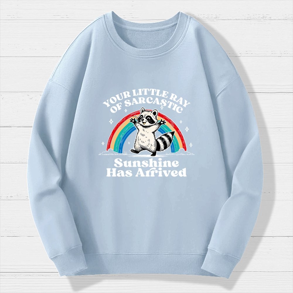 Your Little Ray of Sarcastic Sunshine Has Arrived Geek Cotton Sweatshirt