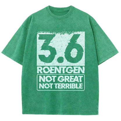 3.6 Roentgen Not Great Not Terrible Vintage Distressed T-shirt