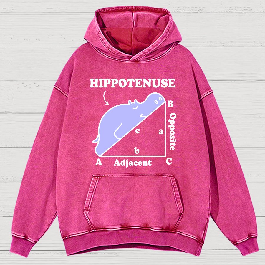 Hypotenuse Math Pun, Hippotenuse Essential Vintage Distressed Hoodie