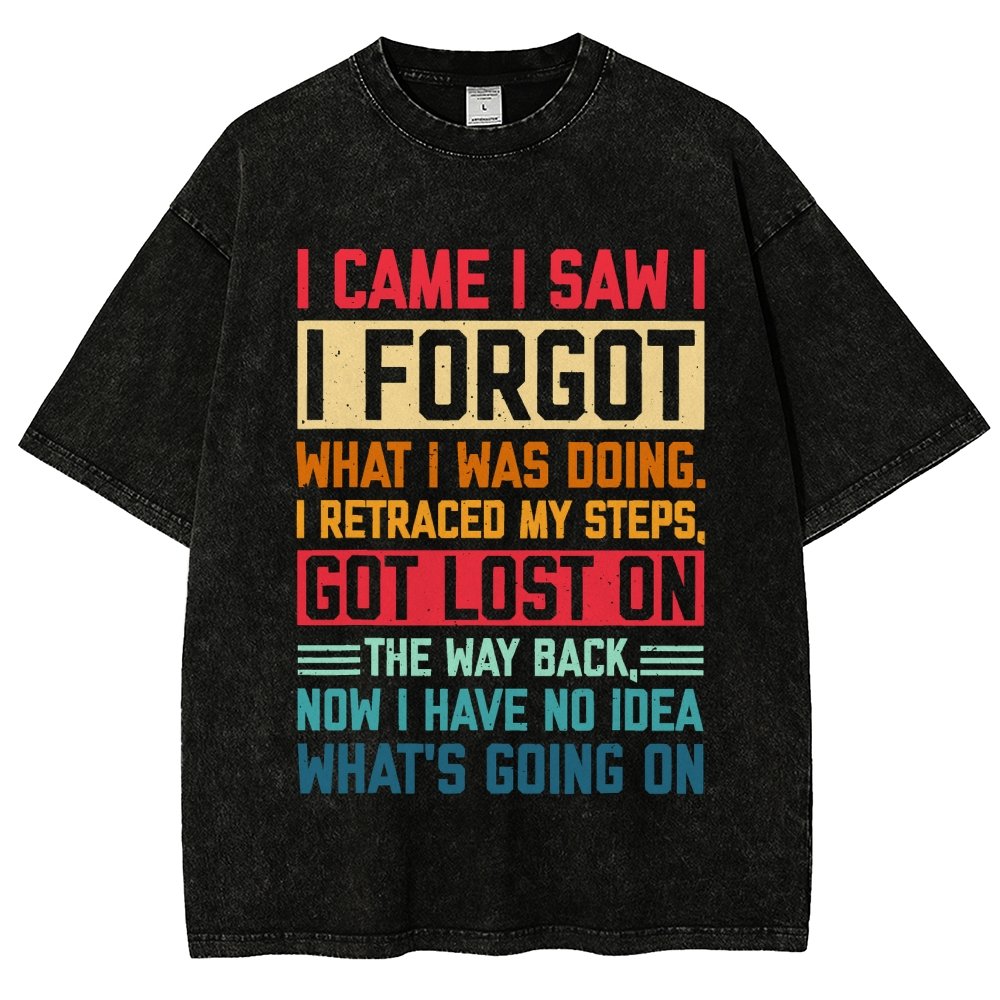 I Came I Saw I Forgot What I Was Doing Sarcastic Vintage Distressed T-shirt